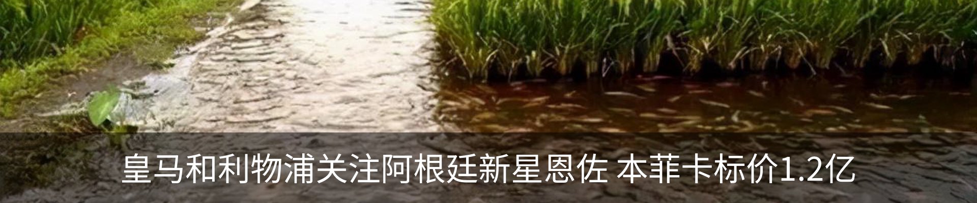 新闻中心